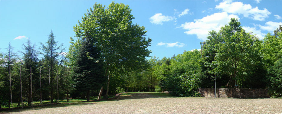 Camping Ave - Main photo
